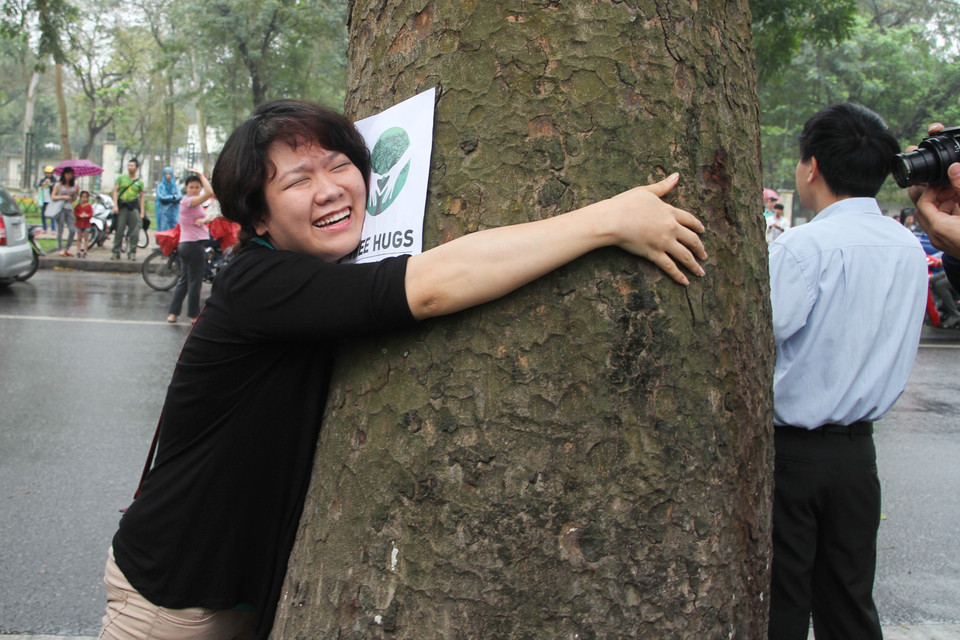 Không kìm nổi xúc động khi ôm trọn những thân cây đã hàng chục năm tuổi. (Ảnh: Minh Sơn/Vietnam+)