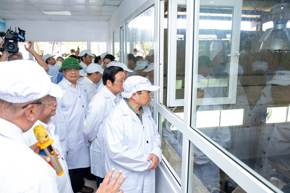 Bằng việc tự động hóa, ứng dụng công nghệ cao, công nghệ 4.0 một cách mẫu mực trong sản xuất nông nghiệp và chế biến cùng khoa học quản trị theo chuỗi, tập đoàn TH đã xây dựng một mô hình nông nghiệp điển hình gắn với phát triển bền vững, kinh tế xanh, kinh tế tuần hoàn, dẫn lối, định hình cho nền nông nghiệp công nghệ cao ở Nghệ An và cả nước. (Ảnh: Minh Sơn/Vietnam+)