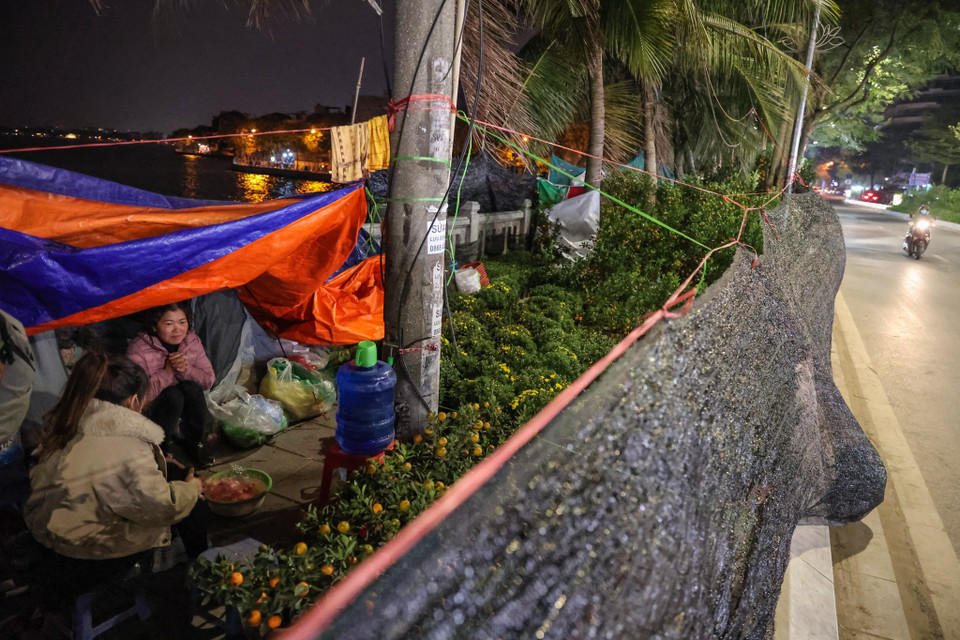 Cô Phùng Thanh Huyền đến từ Gia Lâm (Hà Nội) chia sẻ: "Nhà tôi trồng quất và cúc, cứ đến dịp gần Tết lại ra Lạc Long Quân bán, năm nay cũng được 10 năm. Đa phần dịp gần Tết năm nào cũng lạnh, đặc biệt điểm bán gần hồ Tây nên gió rất lạnh. Tôi phải căng tấm bạt, rồi đắp chăn ngủ trong lều, tuy vậy tối ngủ cũng không được ngon, phần vì ngủ ngoài đường vắng vẻ, phần vì cũng phải trông hàng. Mong ít ngày tới thời tiết ấm áp hơn để công việc buôn bán đỡ vất vả." (Ảnh: Minh Sơn/Vietnam+)