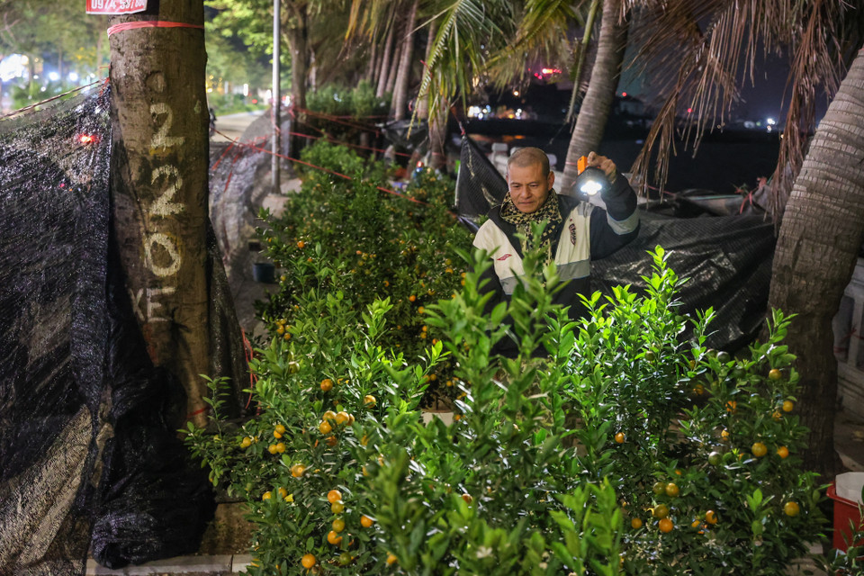Ông Nguyễn Văn Bảy (Bát Tràng, Gia Lâm) cùng vợ con mình thay phiên nhau thức đêm trong thời tiết giá buốt để trông cây trên đường Lạc Long Quân. Ông Bảy chi sẻ năm nay buôn bán không được thuận lợi nhưng vẫn cố gắng để được một cái Tết ấm no. (Ảnh: Minh Sơn/Vietnam+)