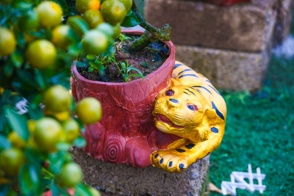 Những chú hổ vàng khoác lên lớp sơn vàng được tạc quanh chiếc bình gốm tạo nên một nét riêng độc đáo trong mùa Tết Nhâm Dần. (Ảnh: Hoài Nam/Vietnam+)