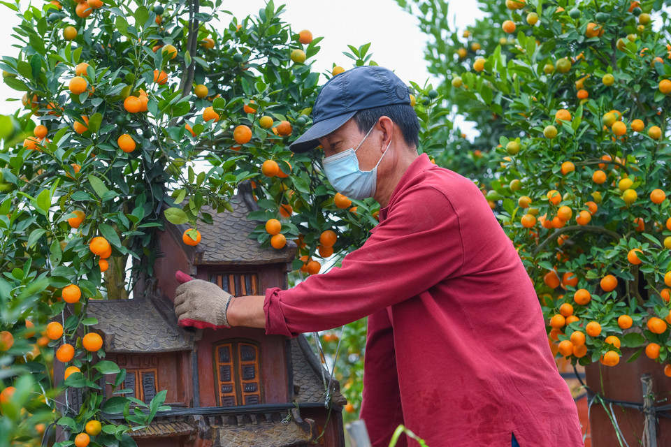 Những ngôi nhà phố cổ được chị Trang lấy cảm hứng từ những tác phẩm của họa sĩ Bùi Xuân Phái. Chị muốn kết hợp giữa nét cổ kính với sự hiện đại giúp mọi người không chỉ biết tới cây quất đơn thuần mà còn thêm yêu nét đẹp văn hóa Việt. (Ảnh: Hoài Nam/Vietnam+)