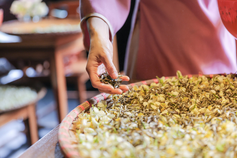 Vào mùa hoa bưởi nở rộ, từ sáng sớm, Linh đã đi đặt hoa về ướp để nâng tầm vị trà truyền thống. Các loại trà đặc trưng tại cửa hàng như san tuyết, bạch hạc, ô long... (Ảnh: Minh Sơn/Vietnam+)