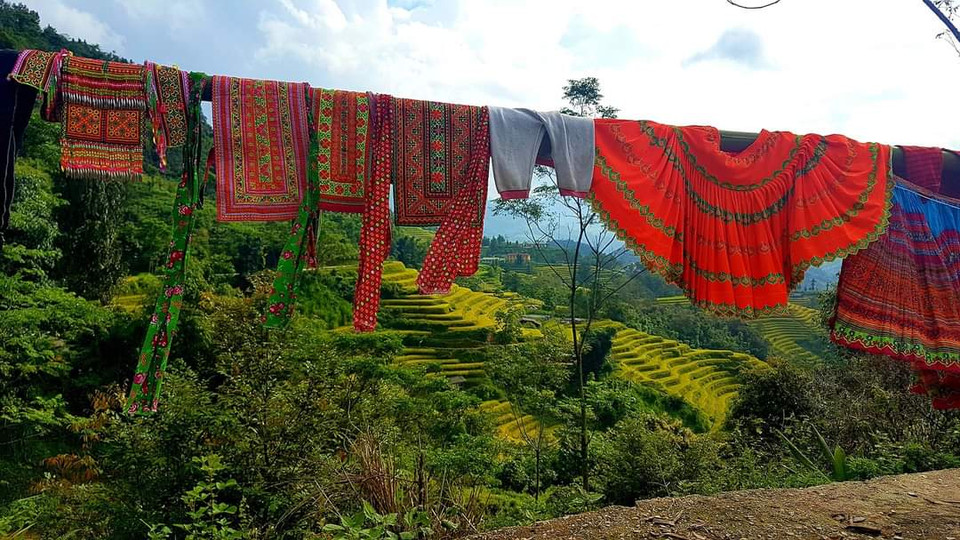 Tại Việt Nam, hệ thống ruộng bậc thang là phương thức sản xuất của rất nhiều dân tộc sinh sống như La Chí, Hà Nhì, Mông, Dao, Nùng... (Ảnh: Đỗ Hùng/Vietnam+)