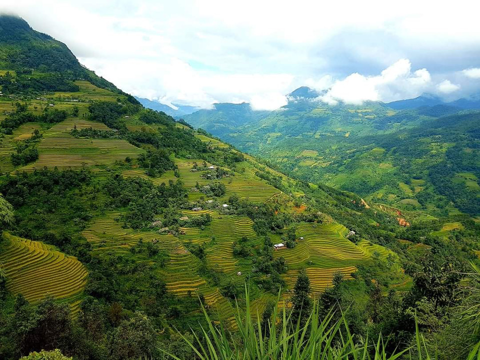 Với những người đam mê du lịch, Hoàng Su Phì là nơi kết thúc trọn vẹn một vòng cung ngắm mùa lúa vàng của vùng cao miền Bắc. (Ảnh: Đỗ Hùng/Vietnam+)