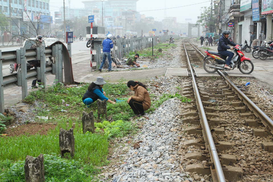 Những đường ngang dân sinh không có rào chắn khiến người dân ngang nhiên sinh hoạt trên đường ray, thậm chí… trồng rau ngay bên cạnh. (Ảnh: Minh Sơn/Vietnam+)