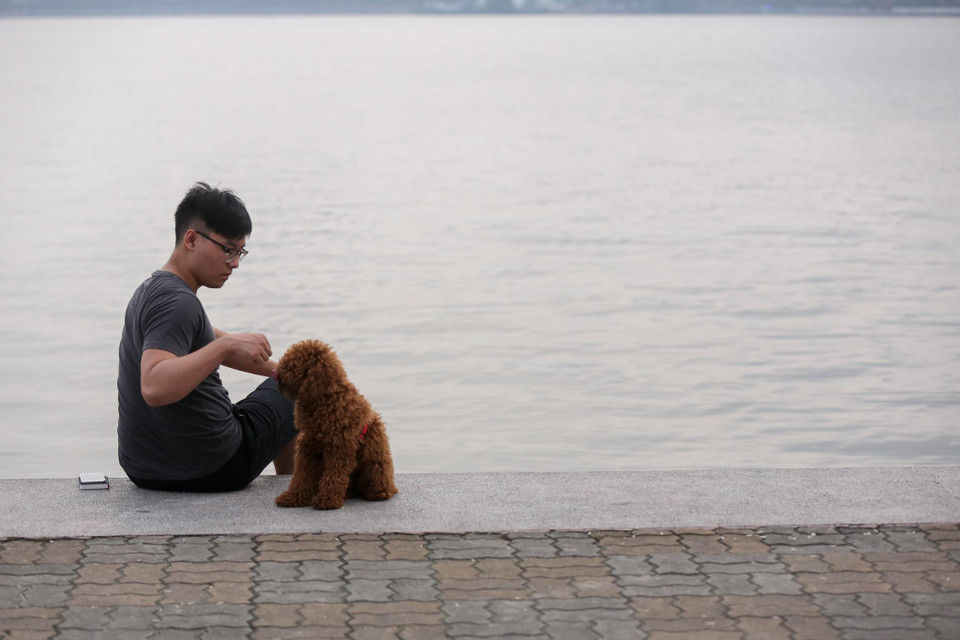 Nhiều người từng nghĩ Hà Nội sẽ vào cuộc quyết liệt nhưng 2 năm sau khi ban hành Nghị định, những con chó vẫn thoải mái thả rông mà không bị một lực lượng chức năng nào xử lý. (Ảnh: Minh Sơn/Vietnam+)