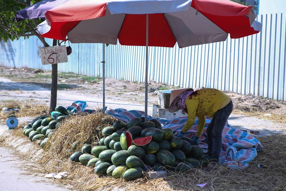 Đều đặn mỗi ngày, chị bán dưa hấu vẫn cố gắng ngồi giữa trời nắng, chiếc ô che không làm dịu đi không khí oi bức, ngột ngạt. (Ảnh: Minh Sơn/Vietnam+)