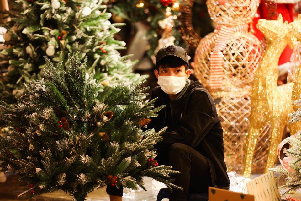 Những cây thông nhỏ thường có giá 200-500 ngàn đồng/cây. Mặt hàng này rất được ưu chuộng bởi giá vừa phải, phù hợp với những không gian nhỏ trong mùa Giáng sinh. (Ảnh: Hoài Nam/Vietnam+)