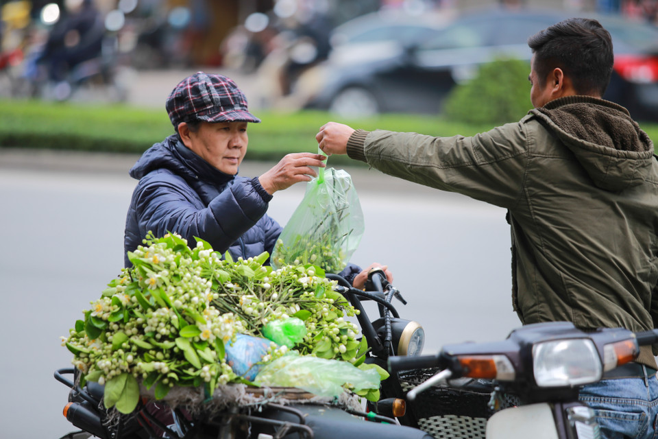 Các bà, các mẹ vẫn hay mua hoa bưởi về để trong nhà hoặc là nấu nước gội đầu cho thơm mãi mùi hương. (Ảnh: Minh Sơn/Vietnam+)