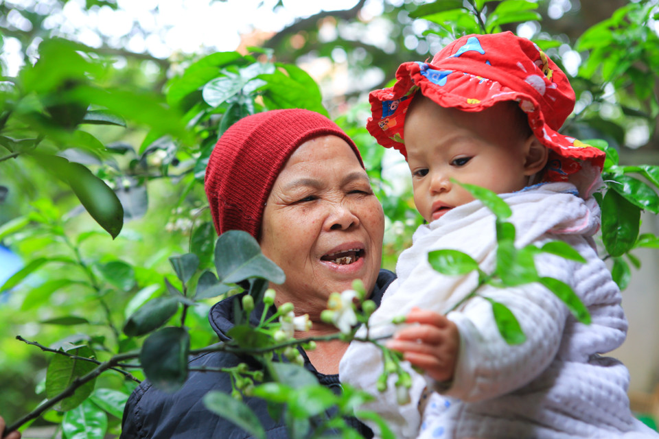 (Ảnh: Minh Sơn/Vietnam+)
