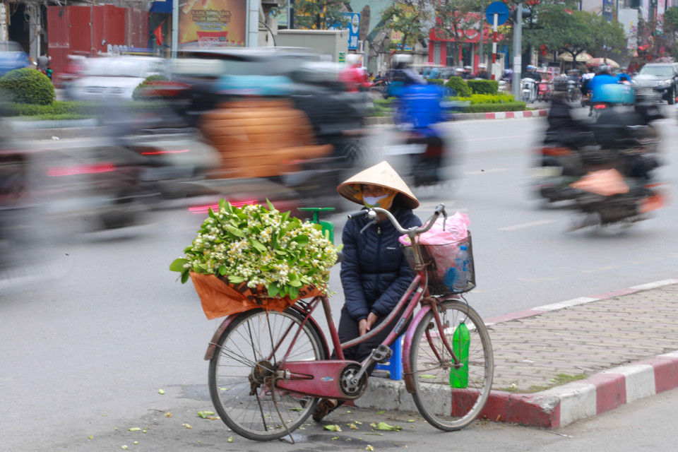 Trên phố Xã Đàn hoặc Chùa Bộc, những gánh nhỏ hoa bưởi nằm ngơ ngác bên dòng người tấp nập vội vã. (Ảnh: Minh Sơn/Vietnam+)