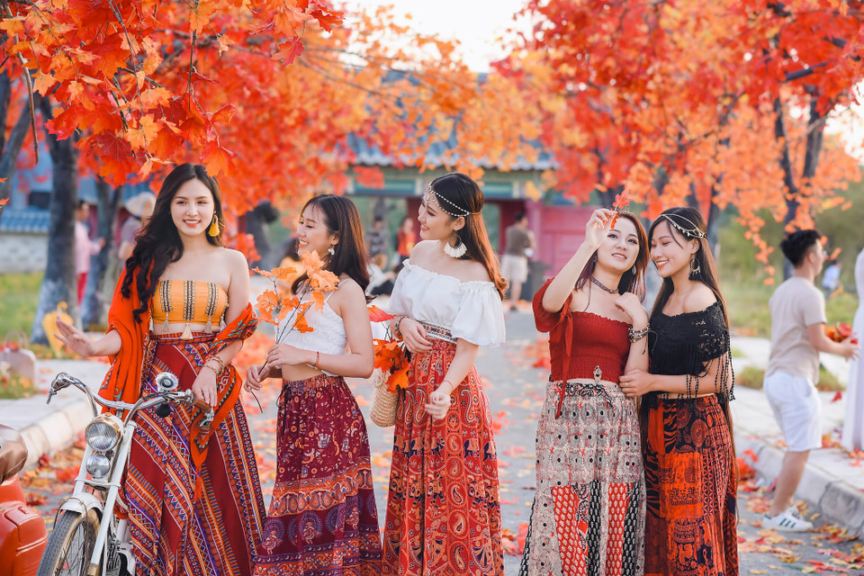 Bối cảnh nơi đây khiến người dân Thủ đô có thể thỏa sức chụp ảnh, quay clip với hàng phong đỏ ngay tại Việt Nam mà không phải qua Hàn Quốc hay Canada. (Ảnh: Vietnam+)