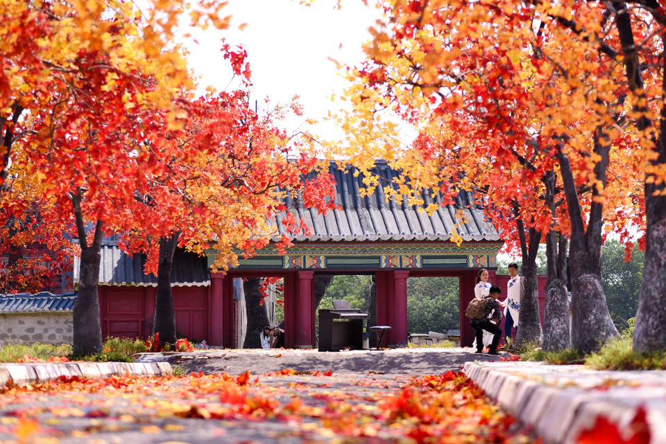 Chỉ cách trung tâm Hà Nội khoảng 3km, nơi đây sở hữu một không gian chẳng khác nào bối cảnh của một bộ phim Hàn Quốc. (Ảnh: Vietnam+)