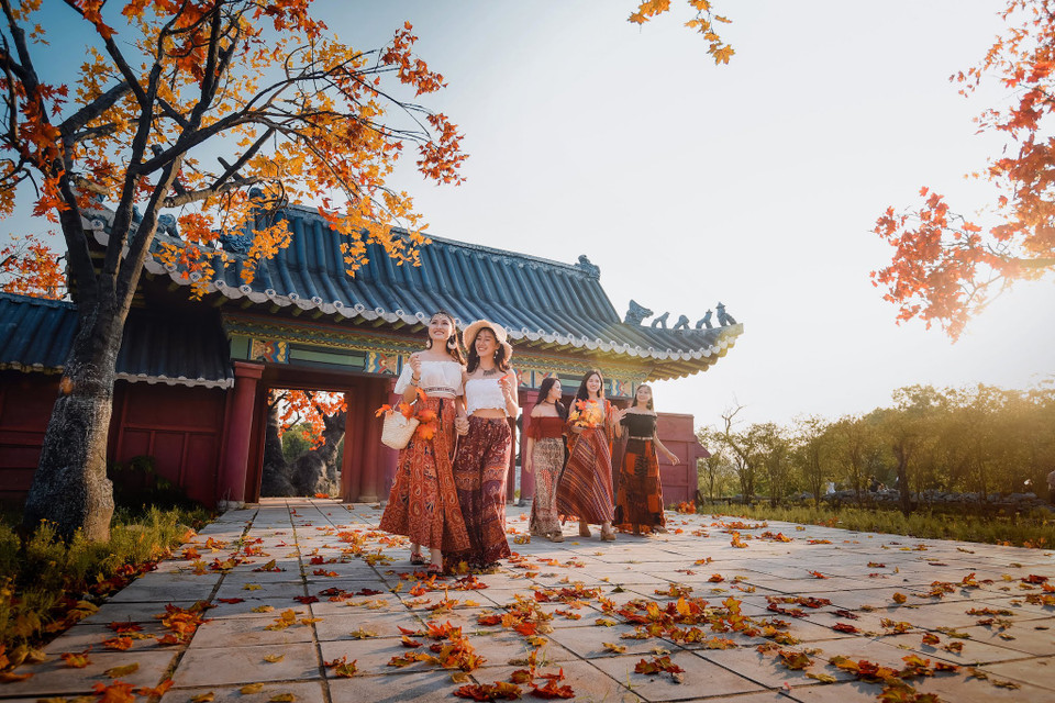 Đây được xem là một điểm đến không thể thiếu tại Hà Nội và mùa thu này. (Ảnh: Vietnam+)