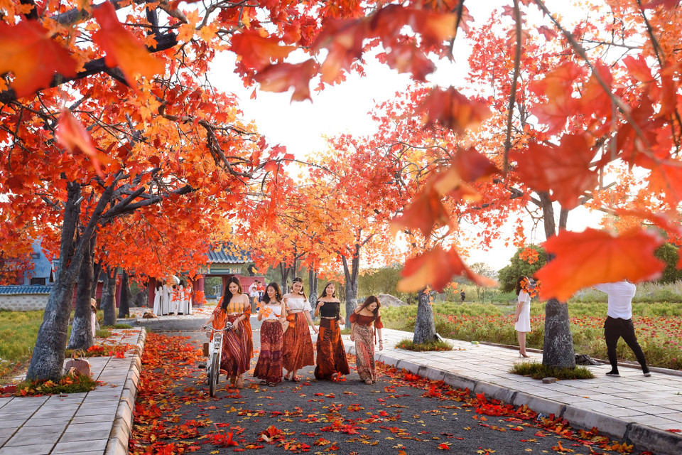 Tuy nhiên, những nghệ nhận tạo ra vườn hoa cũng đã cố gắng để đem lại không gian thật nhất có thể. (Ảnh: Vietnam+)