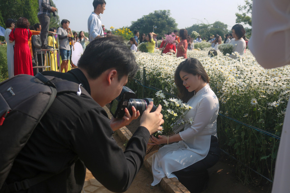 Vượt quãng đường gần 70km, bạn Đỗ Thị Phương (Hà Nam) cho biết: 'Mình và đoàn dậy từ rất sớm để chuẩn bị đi Hà Nội chụp ảnh cúc họa mi. Dù quãng đường hơi xa nhưng vì cái đẹp nên chúng mình vẫn quyết tâm đi bằng được.' (Ảnh:Vietnam+)