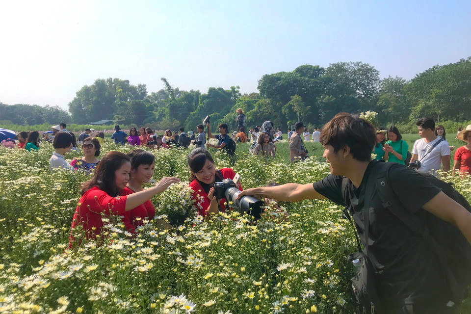 Những ngày này, nhiều du khách đã tới các vườn cúc họa mi để chụp ảnh kỷ niệm. Nhờ đó mà các hình thức kinh doanh cũng được mở ra như: thuê thợ chụp ảnh, thuê trang phục, trang điểm, làm tóc... (Ảnh:Vietnam+)