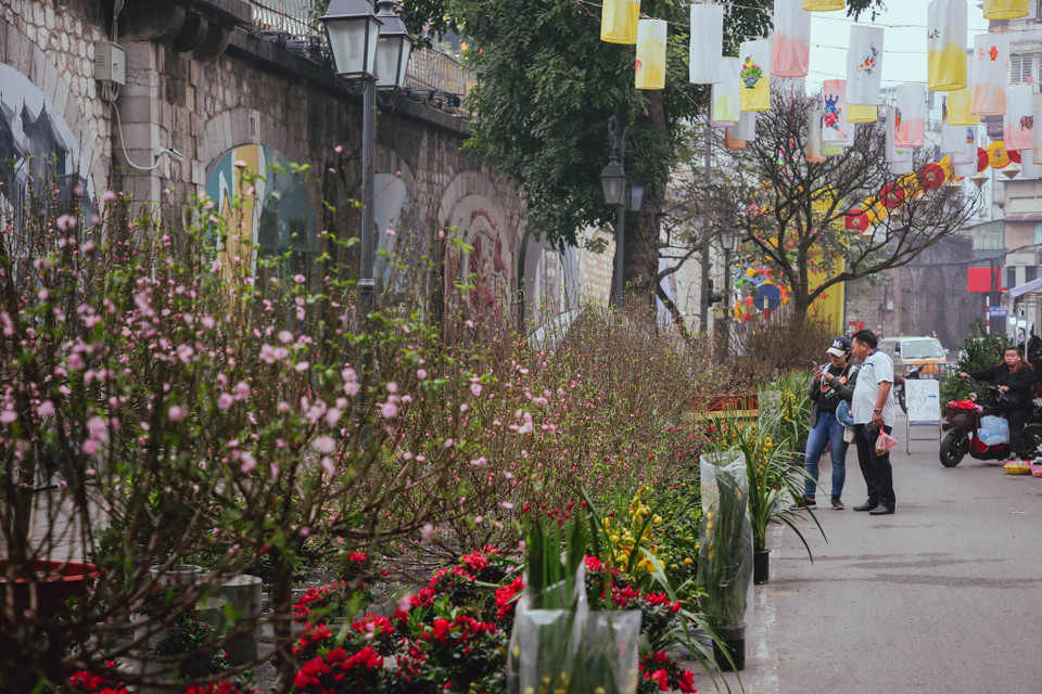 Từ năm 2018, ngoài tổ chức Chợ hoa Tết truyền thống, quận Hoàn Kiếm đã tổ chức giới thiệu không gian Bích họa trên tuyến phố Phùng Hưng tạo nên không gian văn hóa nghệ thuật, sinh hoạt cộng đồng mới. (Ảnh: Minh Sơn/Vietnam+)