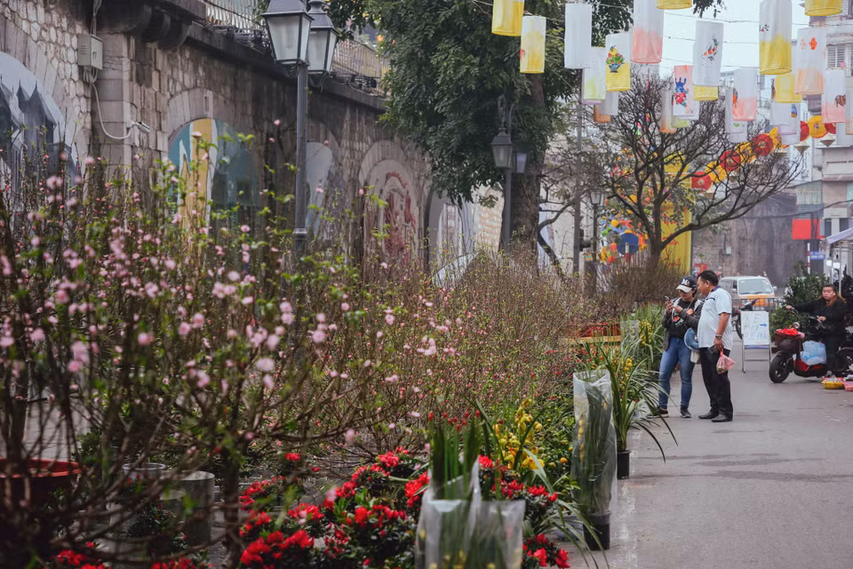 Từ năm 2018, ngoài tổ chức Chợ hoa Tết truyền thống, quận Hoàn Kiếm đã tổ chức giới thiệu không gian Bích họa trên tuyến phố Phùng Hưng tạo nên không gian văn hóa nghệ thuật, sinh hoạt cộng đồng mới. (Ảnh: Minh Sơn/Vietnam+)