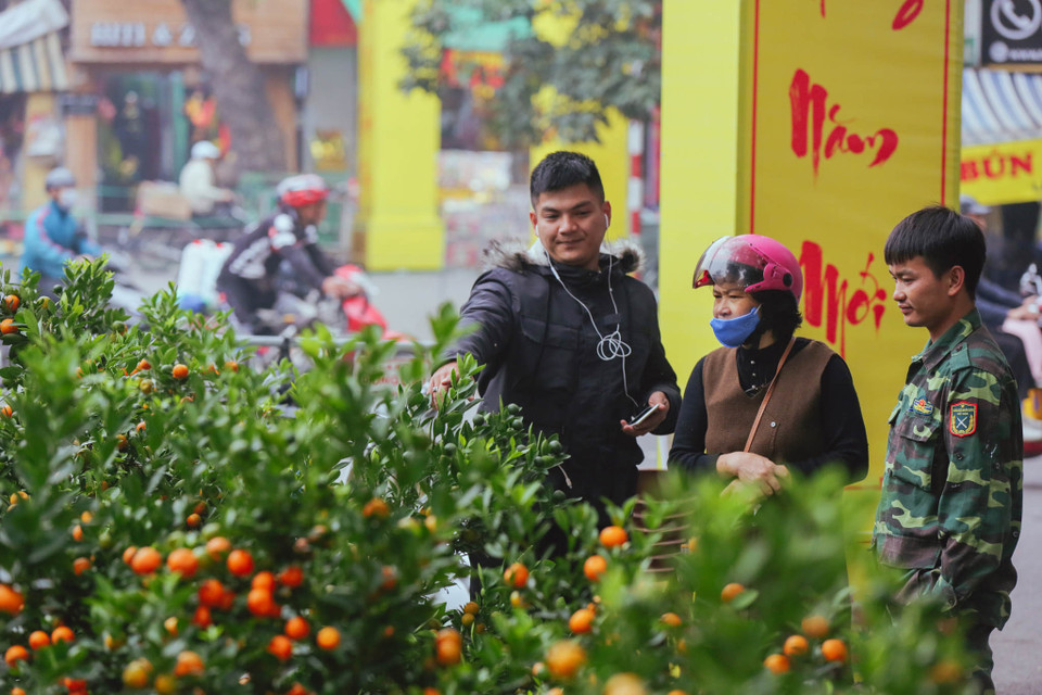 Chợ hoa truyền thống được tổ chức trên các tuyến phố Hàng Lược, Hàng Khoai, Hàng Rươi, Hàng Mã và tuyến phố Bích họa phố Phùng Hưng thuộc phường Hàng Mã, thời gian họp chợ từ 8h00 - 22h00 hàng ngày. (Ảnh: Minh Sơn/Vietnam+)