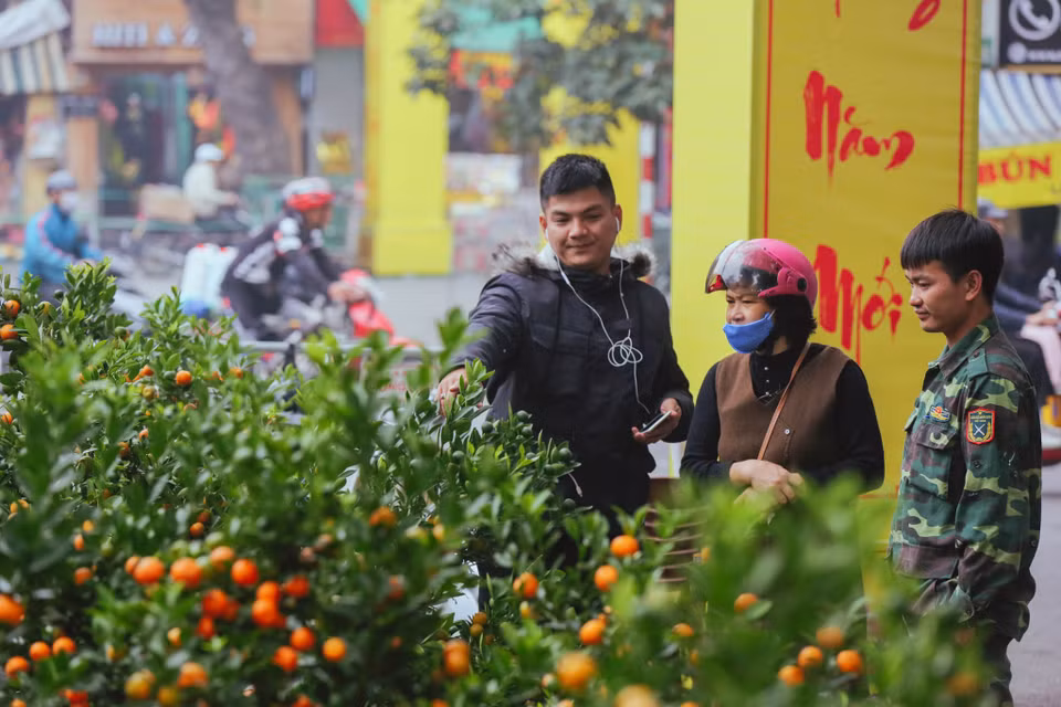Chợ hoa truyền thống được tổ chức trên các tuyến phố Hàng Lược, Hàng Khoai, Hàng Rươi, Hàng Mã và tuyến phố Bích họa phố Phùng Hưng thuộc phường Hàng Mã, thời gian họp chợ từ 8h00 - 22h00 hàng ngày. (Ảnh: Minh Sơn/Vietnam+)