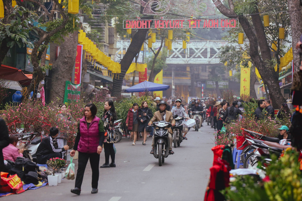 Mỗi dịp Tết đến Xuân về, những người nông dân lại rủ nhau về đây trưng bày đủ các loại hoa để bán. (Ảnh: Minh Sơn/Vietnam+)