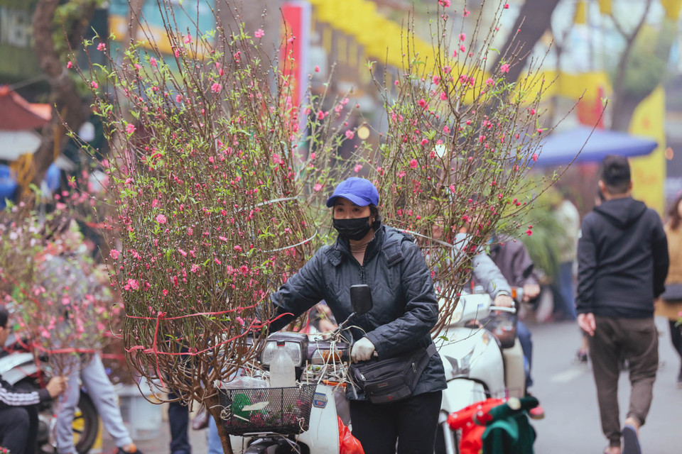 (Ảnh: Minh Sơn/Vietnam+)