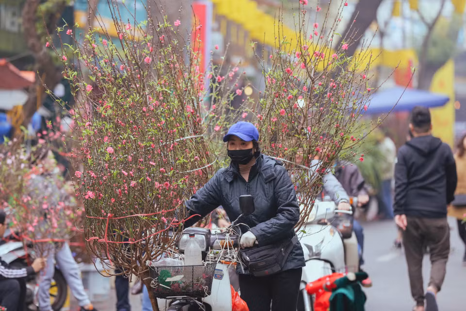 (Ảnh: Minh Sơn/Vietnam+)
