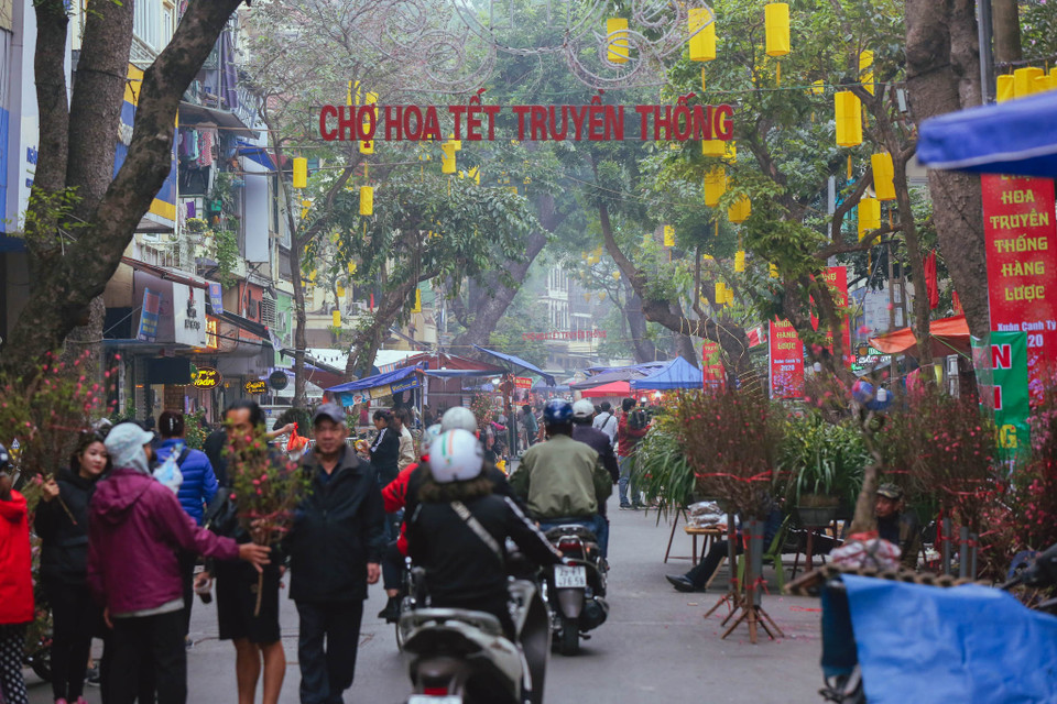 Cũng như mọi năm, chợ hoa Tết truyền thống tại phố Hàng Lược, Hàng Mã, Hàng Rươi, Hàng Khoai (hay còn gọi là chợ hoa Hàng Lược) đã trở thành một nét sinh hoạt độc đáo của người dân phố cổ nói riêng và người dân Hà Nội nói chung từ bao đời nay. (Ảnh: Minh Sơn/Vietnam+)