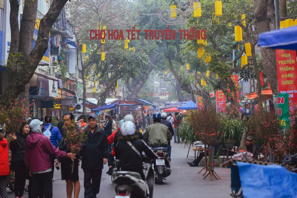 Cũng như mọi năm, chợ hoa Tết truyền thống tại phố Hàng Lược, Hàng Mã, Hàng Rươi, Hàng Khoai (hay còn gọi là chợ hoa Hàng Lược) đã trở thành một nét sinh hoạt độc đáo của người dân phố cổ nói riêng và người dân Hà Nội nói chung từ bao đời nay. (Ảnh: Minh Sơn/Vietnam+)