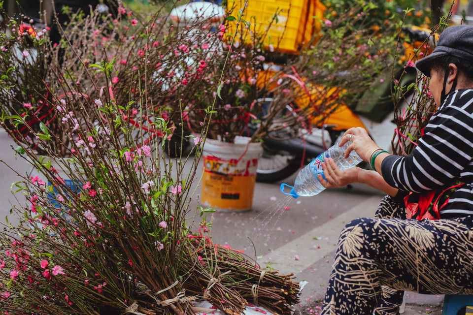 Càng gần Tết, phiên chợ lại càng đông vui, tấp nập tạo nên một không gian náo nhiệt mang đậm không khí Tết của Hà thành. (Ảnh: Minh Sơn/Vietnam+)