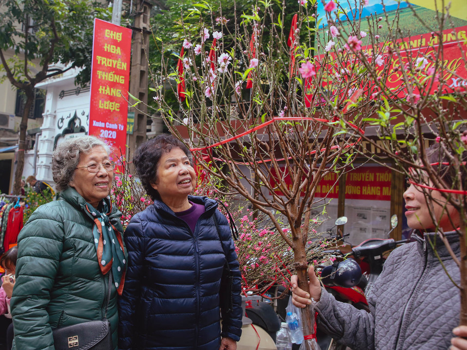 Chợ hoa Tết truyền thống mà người dân thường quen gọi là chợ hoa Hàng Lược đã trở thành một nét sinh hoạt độc đáo của người dân Phố cổ nói riêng và người dân Hà Nội nói chung. (Ảnh: Minh Sơn/Vietnam+)