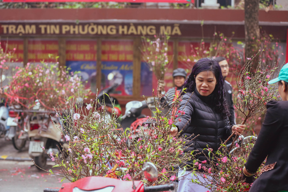 Những tiểu thương tại đây cho biết, năm nay đào nở muộn nên giá cao hơn mọi năm. (Ảnh: Minh Sơn/Vietnam+)