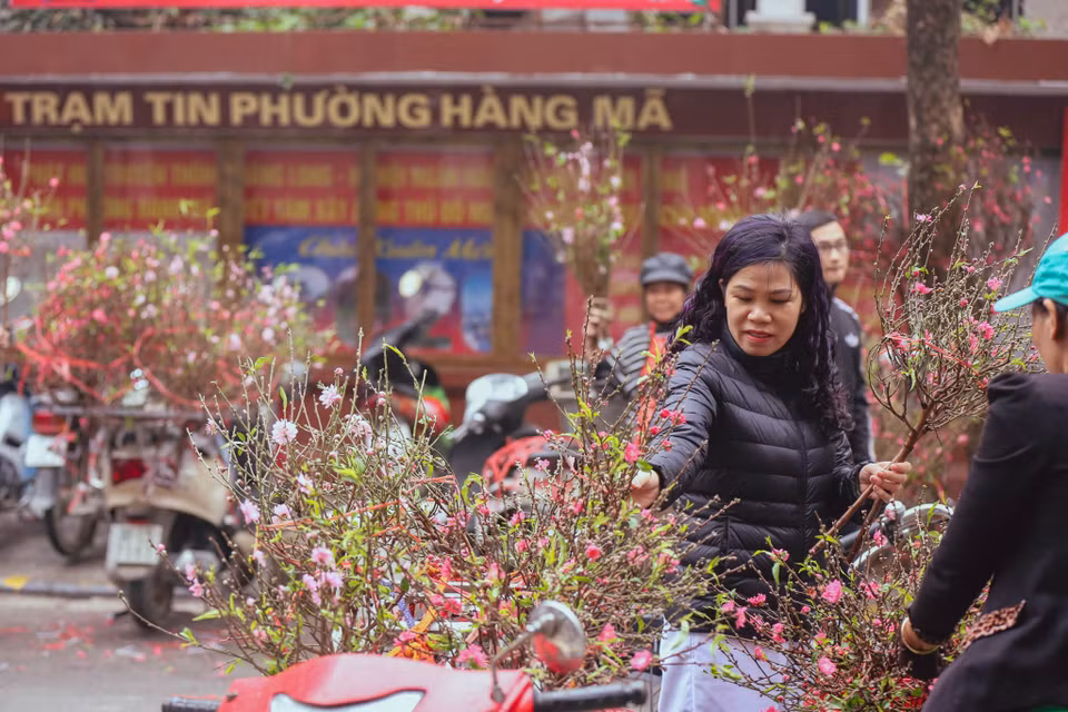 Những tiểu thương tại đây cho biết, năm nay đào nở muộn nên giá cao hơn mọi năm. (Ảnh: Minh Sơn/Vietnam+)
