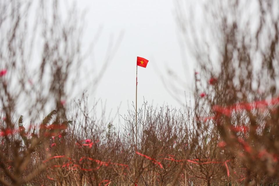 (Ảnh: Minh Sơn/Vietnam+)