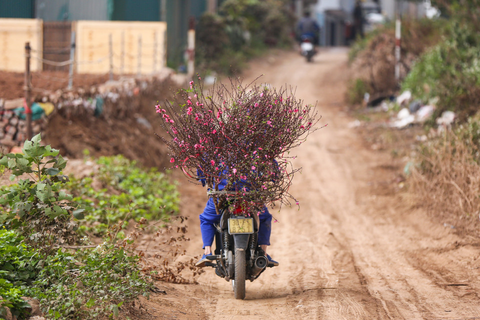 (Ảnh: Minh Sơn/Vietnam+)
