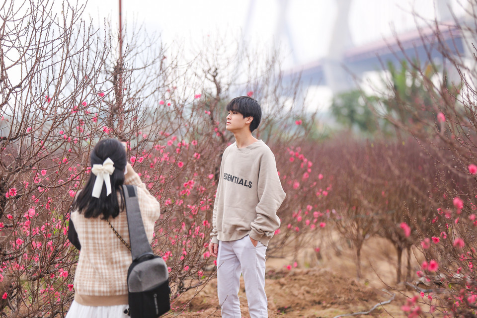 Rất nhiều bạn trẻ tranh thủ dịp này đến vườn đào để chụp ảnh. (Ảnh: Minh Sơn/Vietnam+)