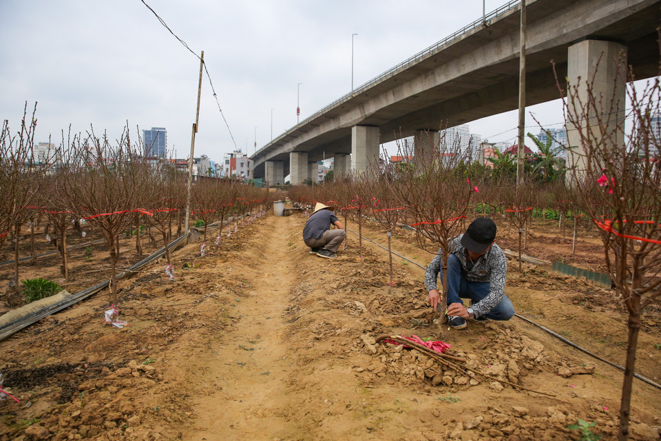 (Ảnh: Minh Sơn/Vietnam+)