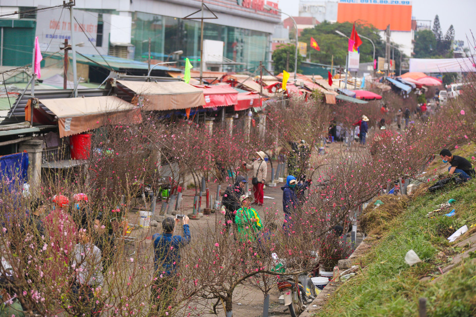 Chợ hoa Quảng An (Tây Hồ, Hà Nội) được biết đến là chợ hoa lớn nhất tại Thủ đô với đa dạng về các loại hoa phục vụ người dân chơi hoa không chỉ dịp Tết. (Ảnh: Minh Sơn/Vietnam+)