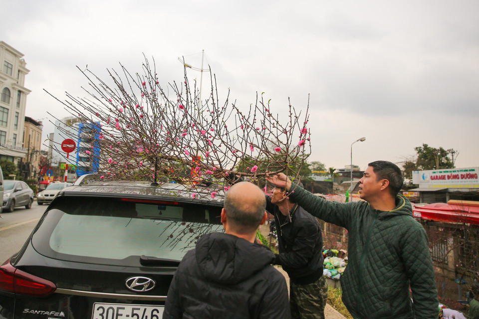 Càng gần Tết Nguyên đán, chợ hoa Quảng An lại càng nhộn nhịp, kẻ mua người bán tấp nập để mang chút không khí xuân về đến gia đình nhỏ. (Ảnh: Minh Sơn/Vietnam+)