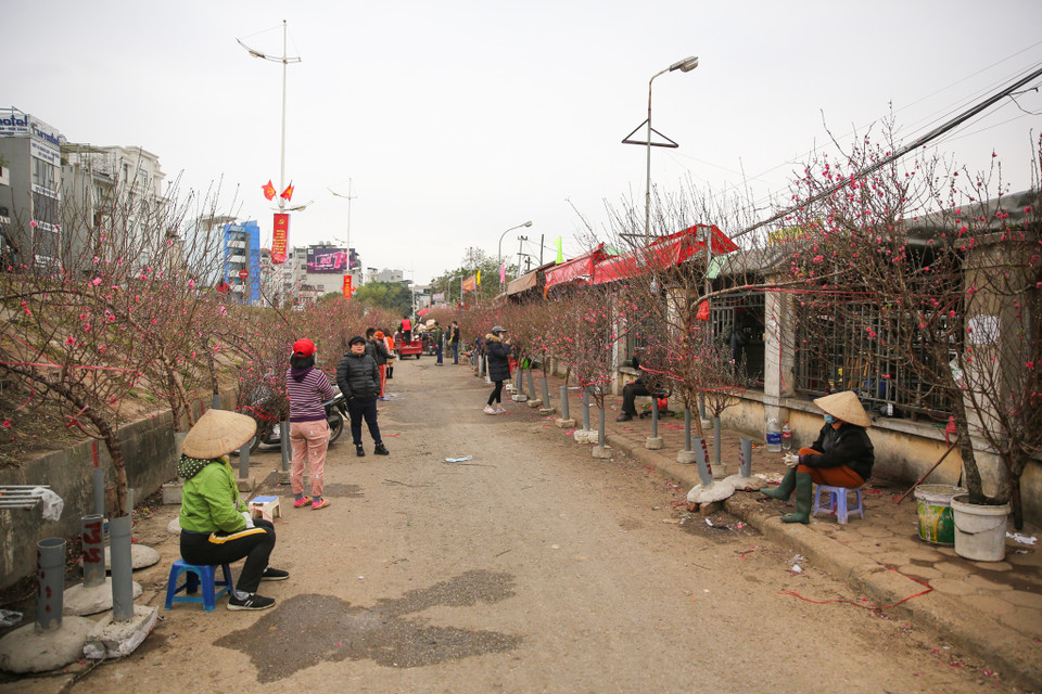 (Ảnh: Minh Sơn/Vietnam+)