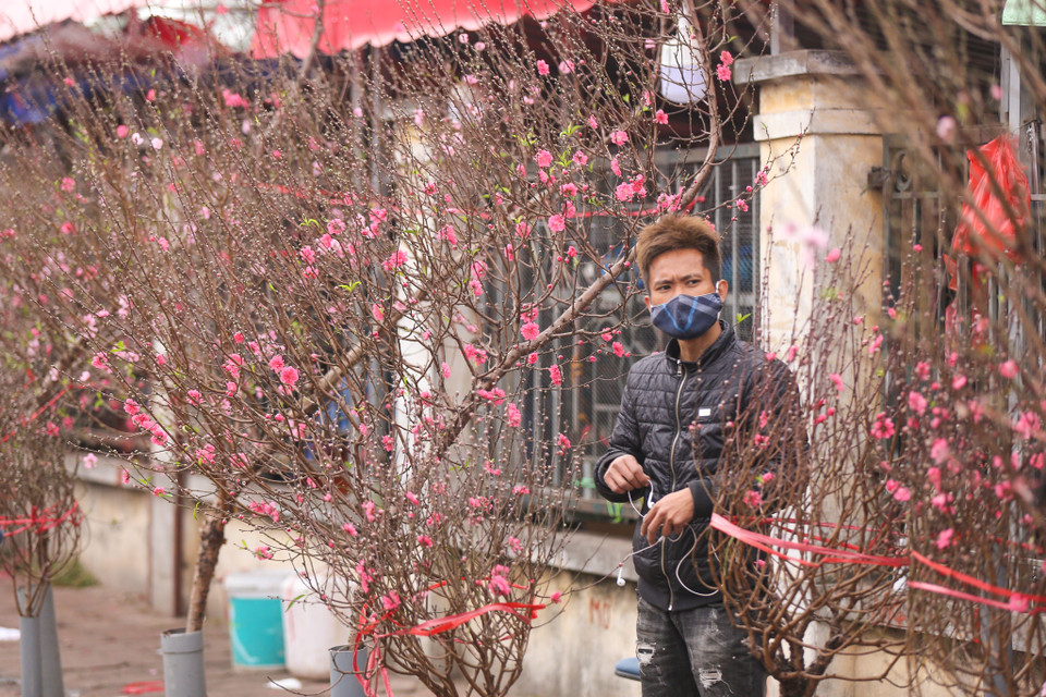 Bên cạnh đó, chợ Quảng An cũng phân phối các loại hoa phổ biến như ly, hồng, lan, lay ơn, cúc... dịp cận Tết. (Ảnh: Minh Sơn/Vietnam+)