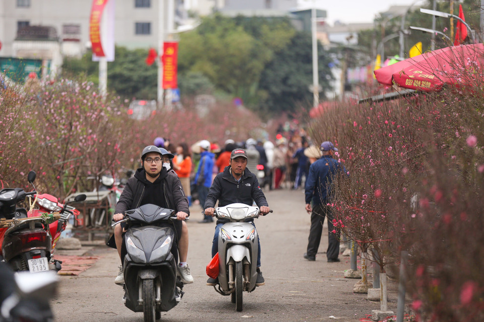 Mỗi độ Tết đến xuân về, nơi đây lại trở thành chợ hoa đào vì đây là một trong những loài hoa đặc trưng của ngày Tết miền Bắc. (Ảnh: Minh Sơn/Vietnam+)
