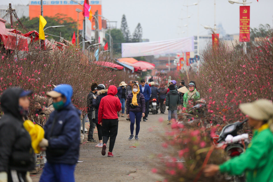 Mỗi năm vào dịp cận Tết, chợ hoa thu hút tới hàng nghìn người dân và du khách đến tham quan, mua sắm. (Ảnh: Minh Sơn/Vietnam+)