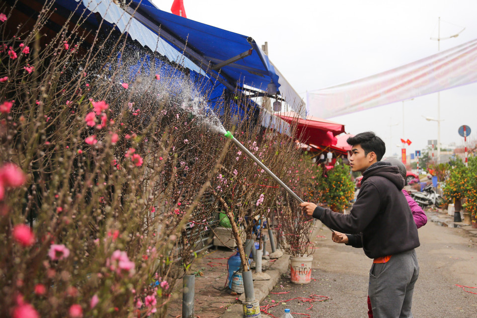 Chợ hoa Tết được mở rộng ra bên ngoài đường, mặt đê đường Âu Cơ và chạy dài cả cây số. (Ảnh: Minh Sơn/Vietnam+)