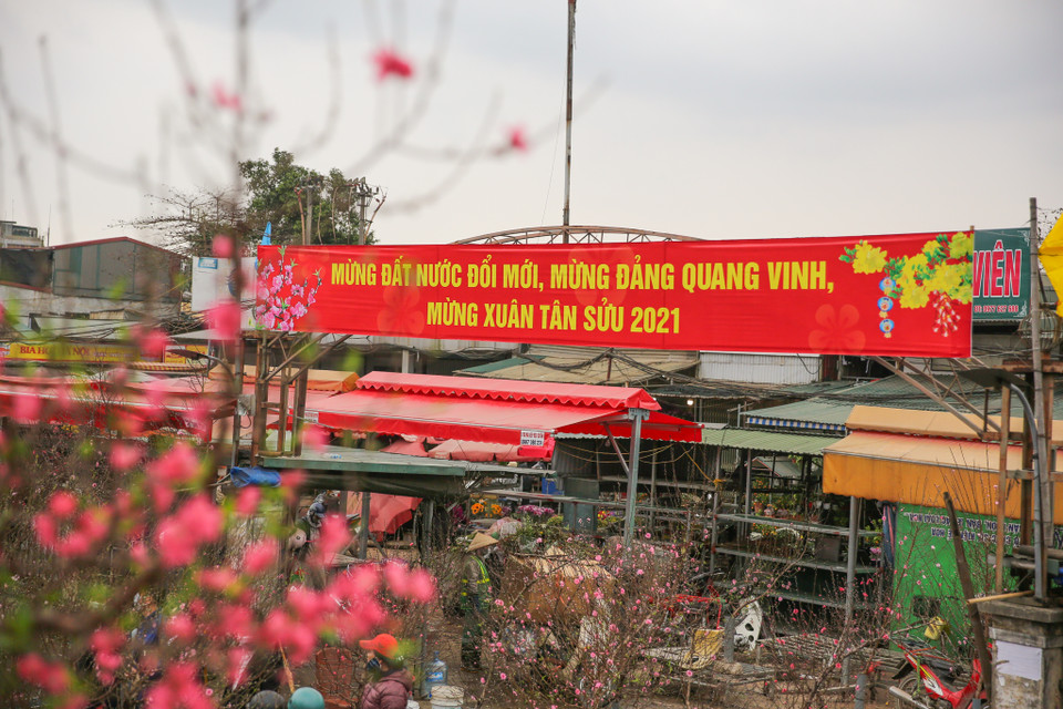 Đây cũng là một trong những chợ hoa lâu đời nhất Hà Nội. (Ảnh: Minh Sơn/Vietnam+)