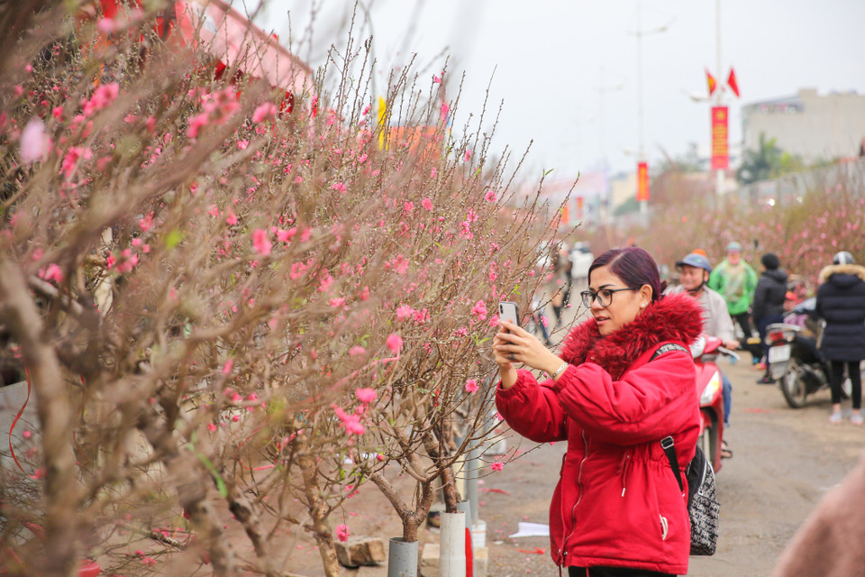 Người dân đi mua hoa chuẩn bị cho Tết còn nhiều người có thói quen đi chơi chợ mỗi khi Tết đến xuân về. (Ảnh: Minh Sơn/Vietnam+)