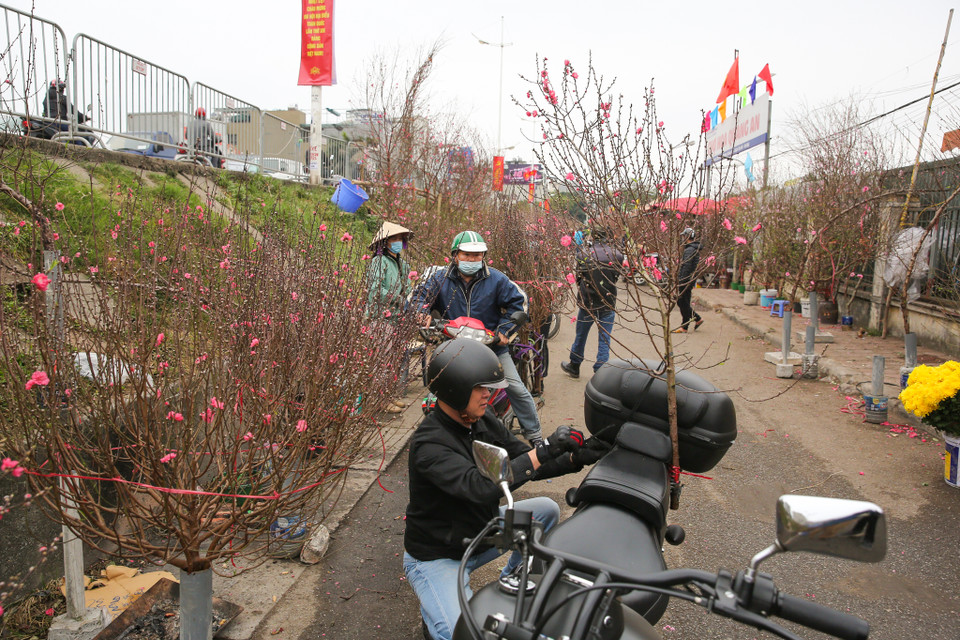 Các tiểu thương tại chợ cho biết, so với năm ngoái thị trường đào sôi động hơn nhiều, giá cũng cao hơn năm ngoái. (Ảnh: Minh Sơn/Vietnam+)