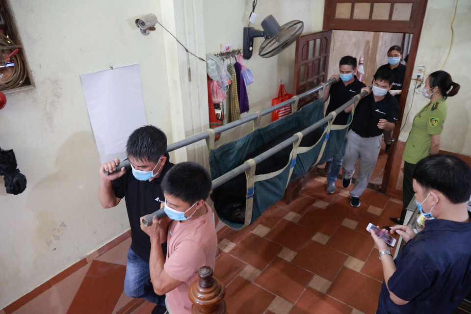 Tổ chức Động vật Châu Á cũng đã ký biên bản ghi nhớ hợp tác với Tổng cục Lâm nghiệp hướng tới chấm dứt 100% số trại gấu còn lại trên địa bàn cả nước và đưa được thêm khoảng 800 cá thể gấu nữa về các cơ sở cứu hộ, lộ trình từ 2017 tới 2022. (Ảnh: Hoàng Đạt/Vietnam+)